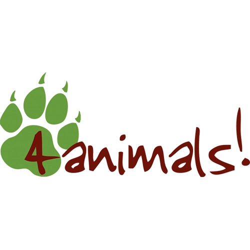 4animals!