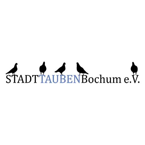 Stadttauben